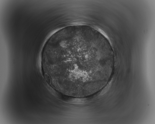X0000100491179200806131244