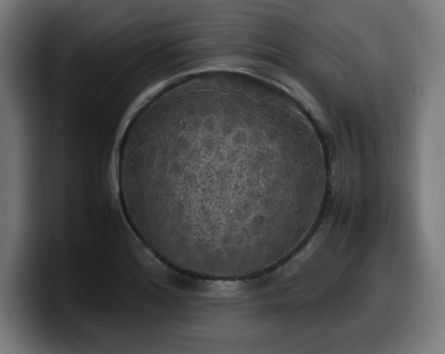 X0000100491180200806131244