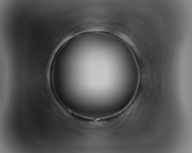X0000100491181200806131244