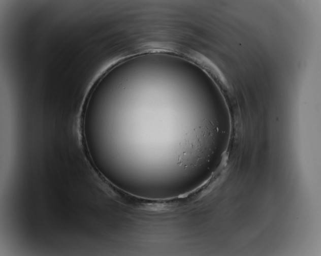 X0000100491182200806131244