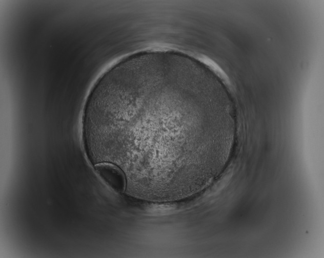 X0000100491183200806131244