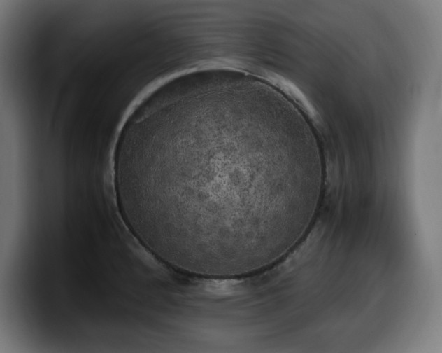 X0000100491184200806131244