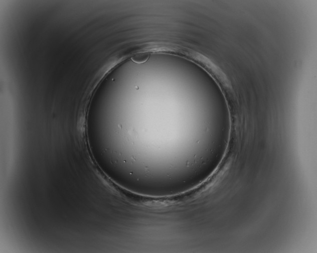 X0000100491185200806131244