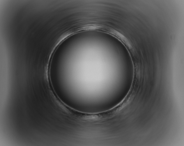 X0000100491186200806131244