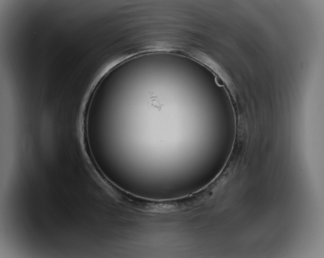 X0000100491187200806131244