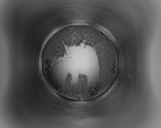 X0000100491188200806131244