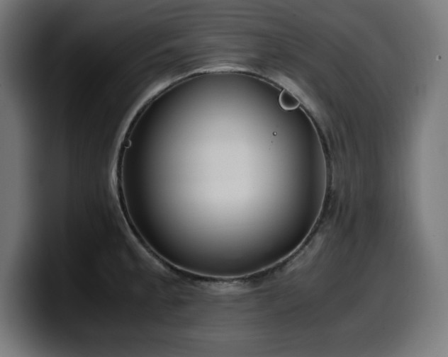 X0000100491189200806131244
