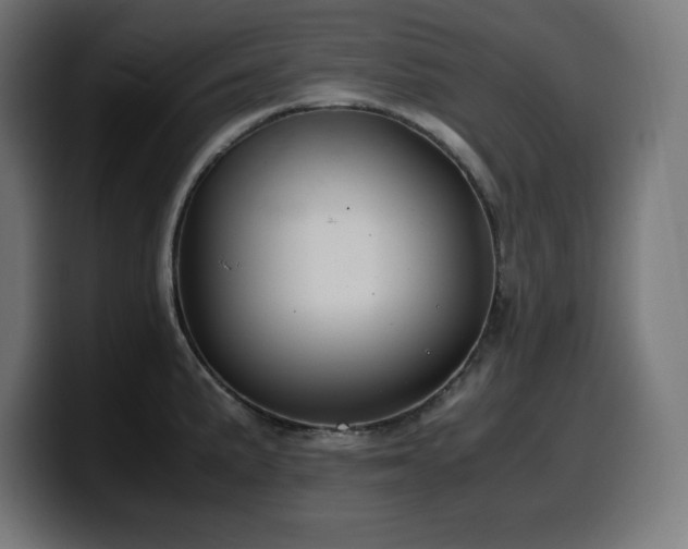 X0000100491191200806131244