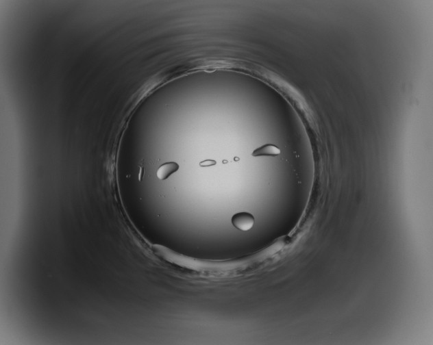 X0000100491193200806131244