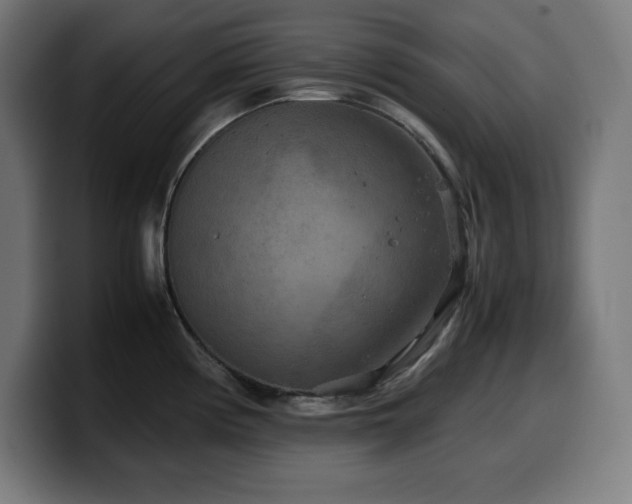 X0000100491194200806131244