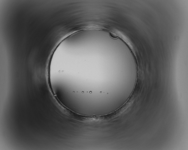 X0000100491195200806131244