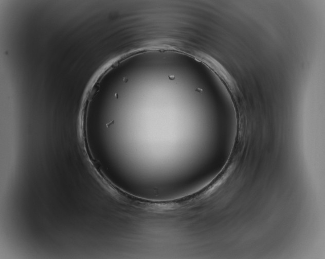 X0000100491196200806131244