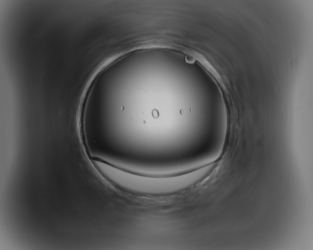 X0000100491197200806131244