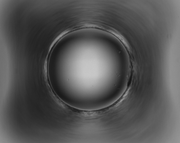 X0000100491198200806131244