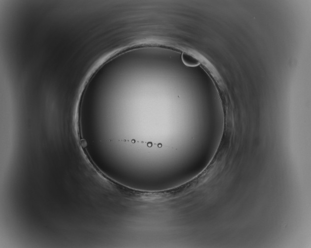X0000100491199200806131244