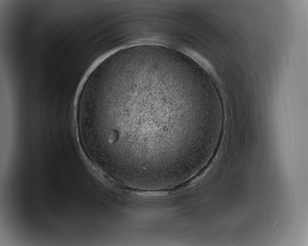 X0000100491200200806131244