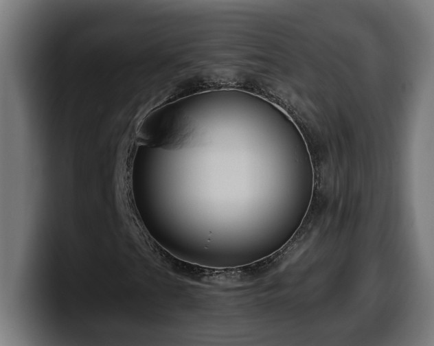 X0000100491201200806131243