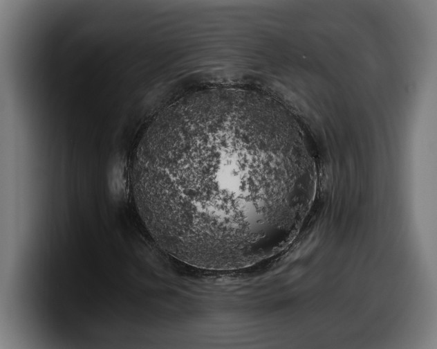 X0000100491202200806131243
