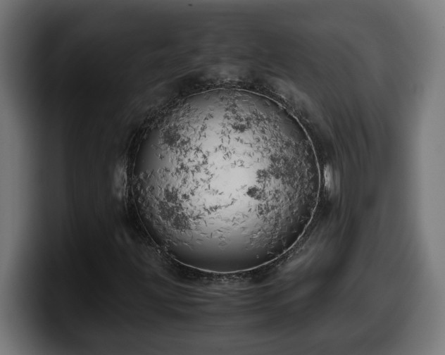 X0000100491203200806131243