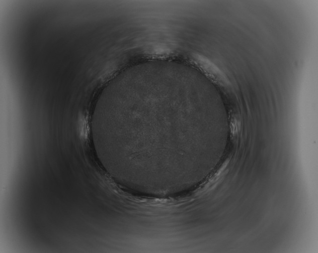 X0000100491204200806131243