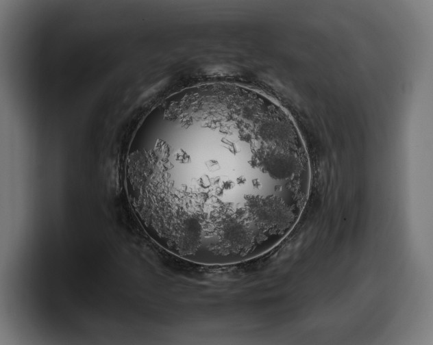 X0000100491205200806131243
