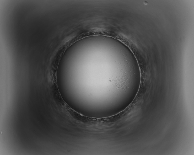 X0000100491207200806131243