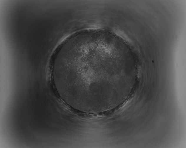 X0000100491208200806131243