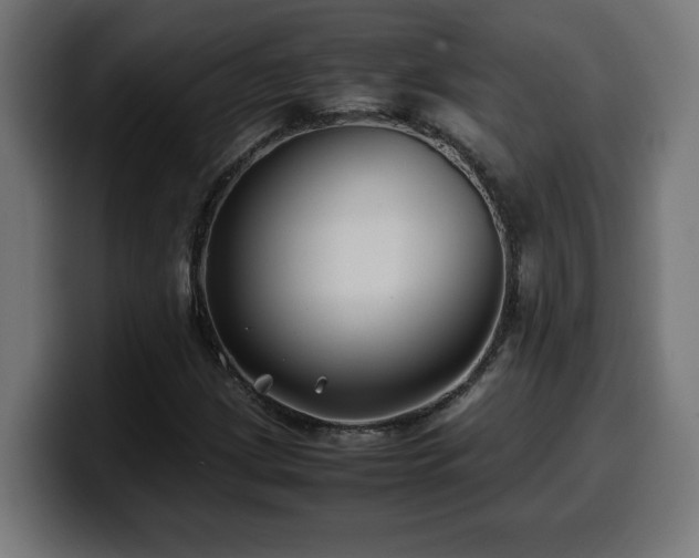X0000100491209200806131243
