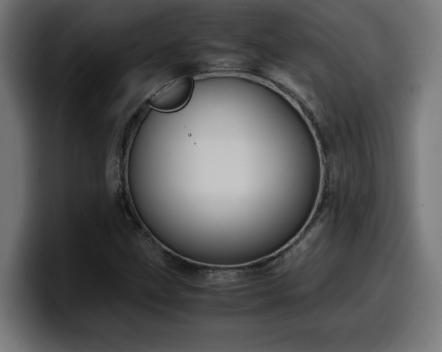 X0000100491211200806131243
