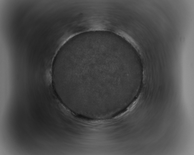 X0000100491212200806131243