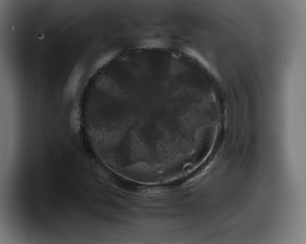 X0000100491213200806131243