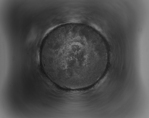 X0000100491214200806131243