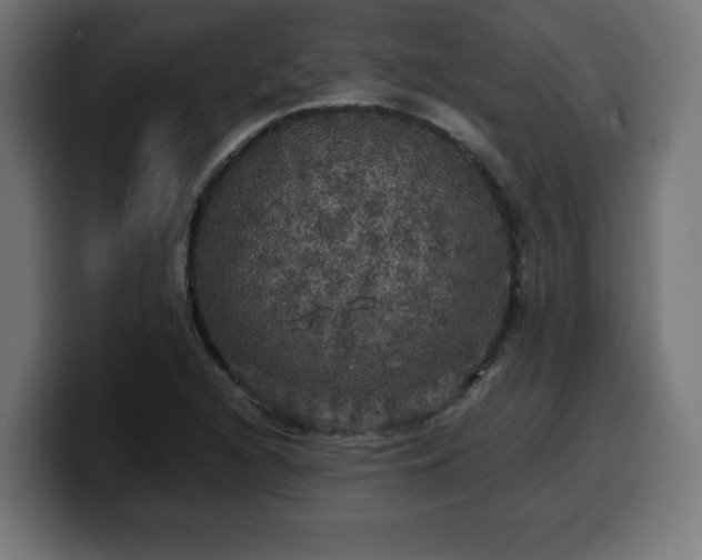 X0000100491216200806131243