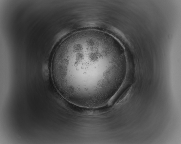 X0000100491218200806131243