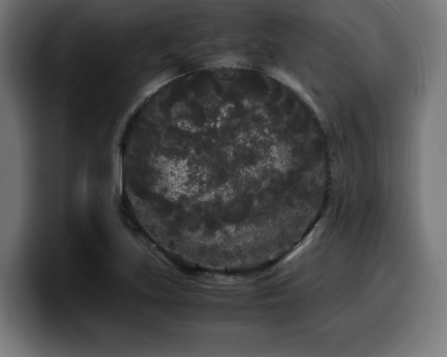 X0000100491219200806131243