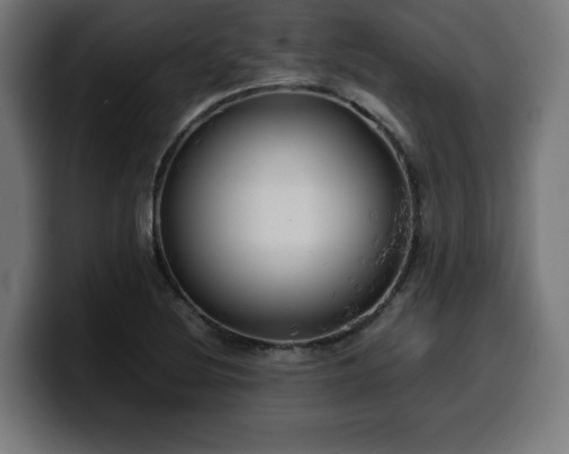 X0000100491220200806131243
