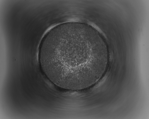 X0000100491222200806131243