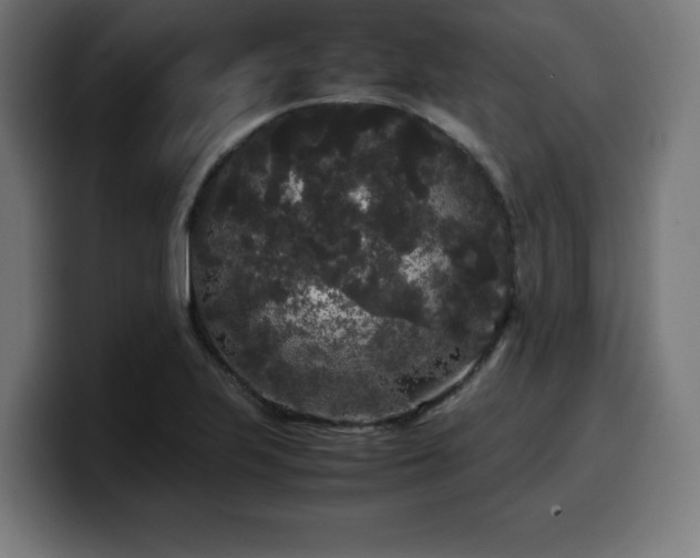 X0000100491223200806131243