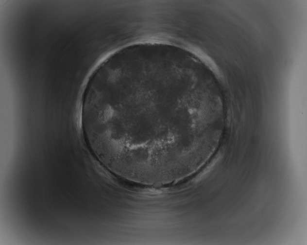 X0000100491224200806131243