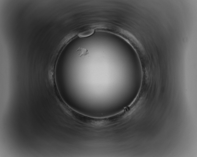 X0000100491225200806131243