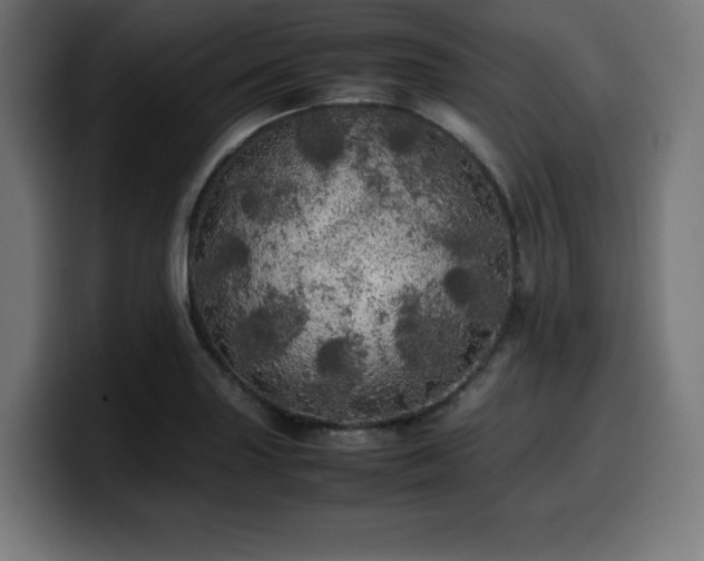 X0000100491227200806131243