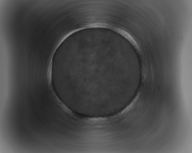 X0000100491228200806131243