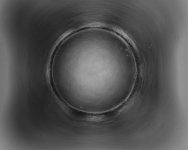X0000100491229200806131243