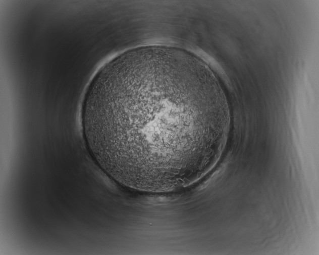 X0000100491230200806131243