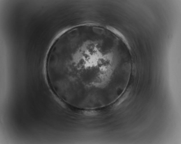 X0000100491231200806131243