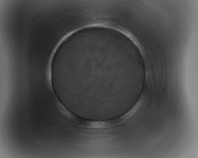 X0000100491232200806131243