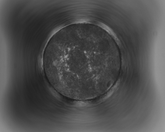 X0000100491234200806131243