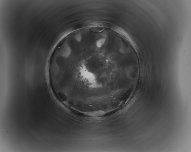 X0000100491235200806131243