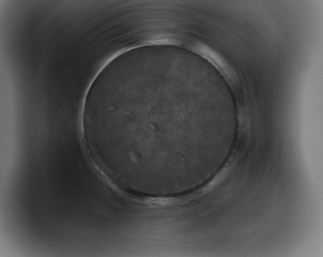 X0000100491236200806131243