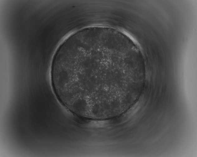 X0000100491237200806131243